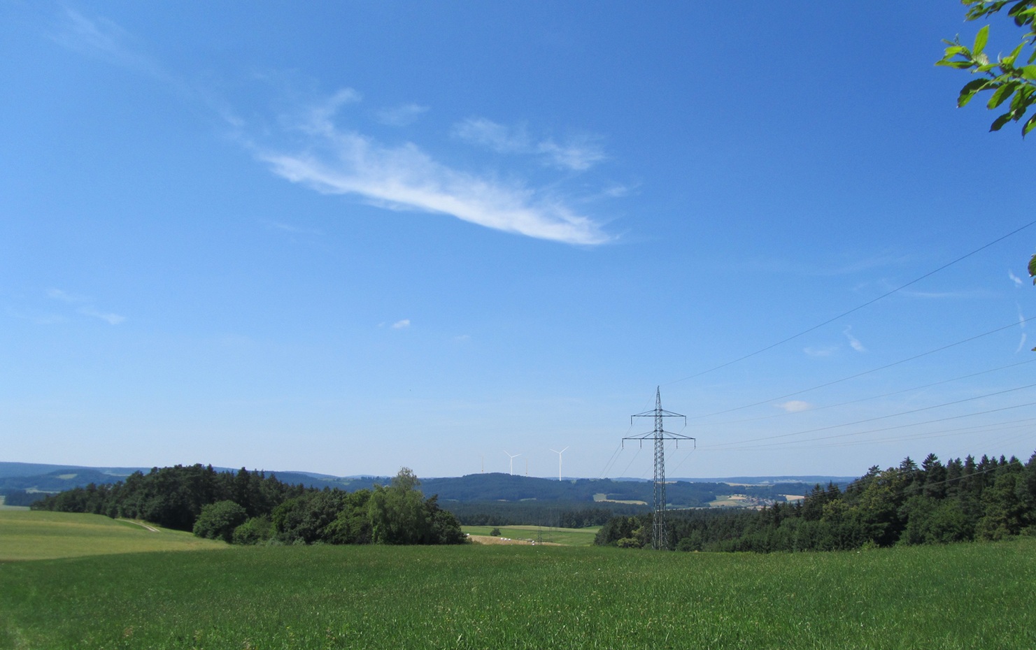 FP04_1.jpg